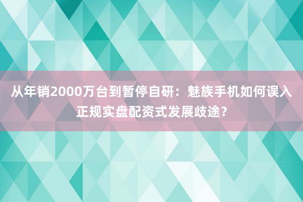 从年销2000万台到暂停自研：魅族手机如何误入正规实盘配资式发展歧途？