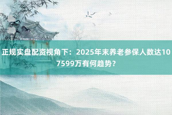 正规实盘配资视角下：2025年末养老参保人数达107599万有何趋势？