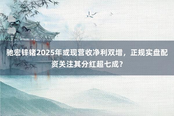 驰宏锌锗2025年或现营收净利双增，<a href=