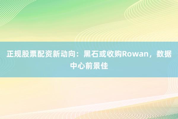 正规股票配资新动向：黑石或收购Rowan，数据中心前景佳