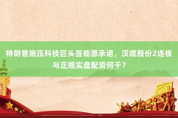 特朗普施压科技巨头签能源承诺，汉缆股份2连板与正规实盘配资何干？