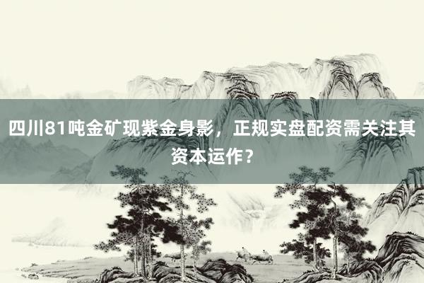 四川81吨金矿现紫金身影，正规实盘配资需关注其资本运作？