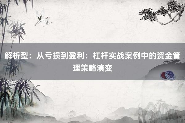 解析型：从亏损到盈利：杠杆实战案例中的资金管理策略演变