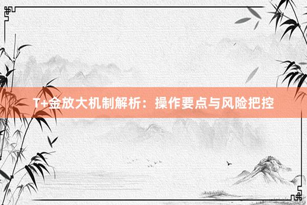 T+金放大机制解析：操作要点与风险把控