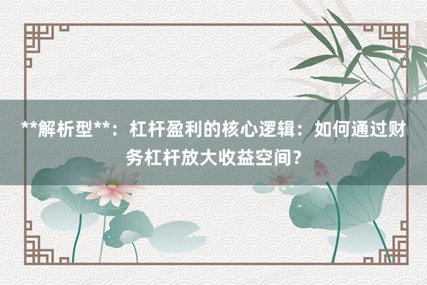 **解析型**：杠杆盈利的核心逻辑：如何通过财务杠杆放大收益空间？