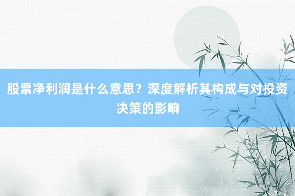 股票净利润是什么意思？深度解析其构成与对投资决策的影响