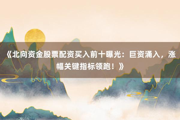 《北向资金股票配资买入前十曝光：巨资涌入，涨幅关键指标领跑！》